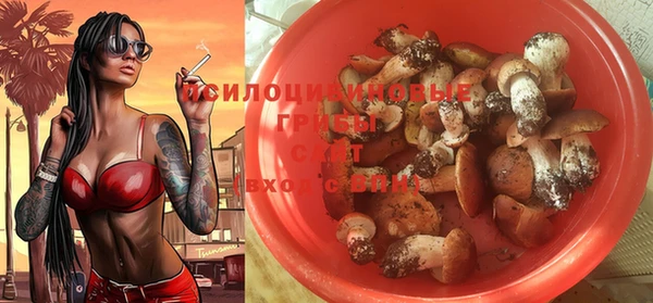 мет Аркадак