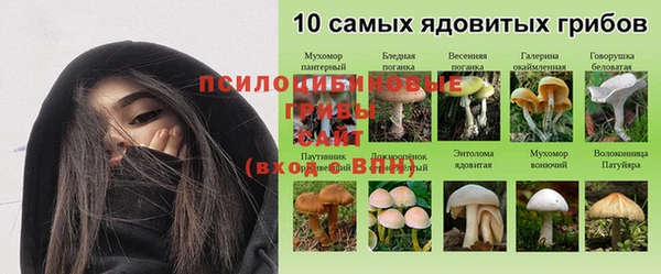 мет Аркадак